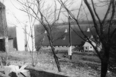 Crystal Springs Farm