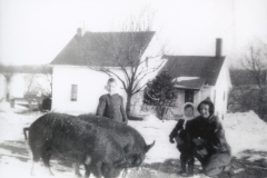 Crystal Springs Farm
