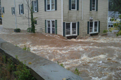 irene-2011 - Now Cottage Treasures