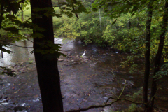 Eggret in Mill Pond Park at the Mill