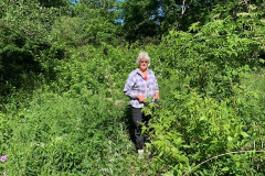 Chris Steffan - Mill Pond Park Maintenance