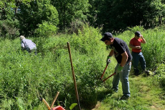 Dan Ross & Ken Zarouni Park Maintenance 2020