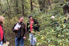 Assessment of the invasive species