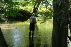Fishing in Mill Pond Park
