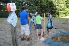 Planting a native species in the Keith Hayes Wild Flower Meadow