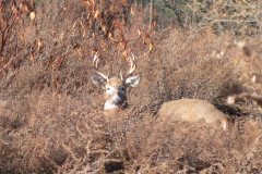 Mill-Pond-along-Columbia-Trail