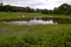 Mill Pond Park after Irene 2011
