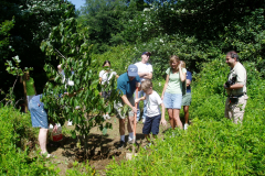 Planting a Paw-Paw in Mill Pond Park