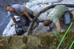 the-mill-arch-repair-2