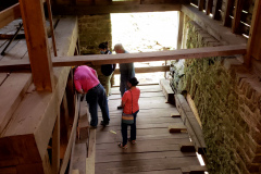 1_John-Holt4-Pathways-2021