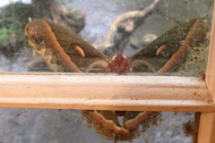 the-mill-interior-01