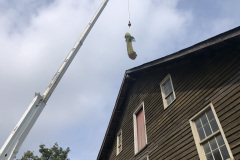 Tree Removal Sept 2021