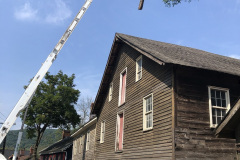 Tree-Roof-2-website-2021